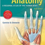 Clemente's Anatomy book cover
