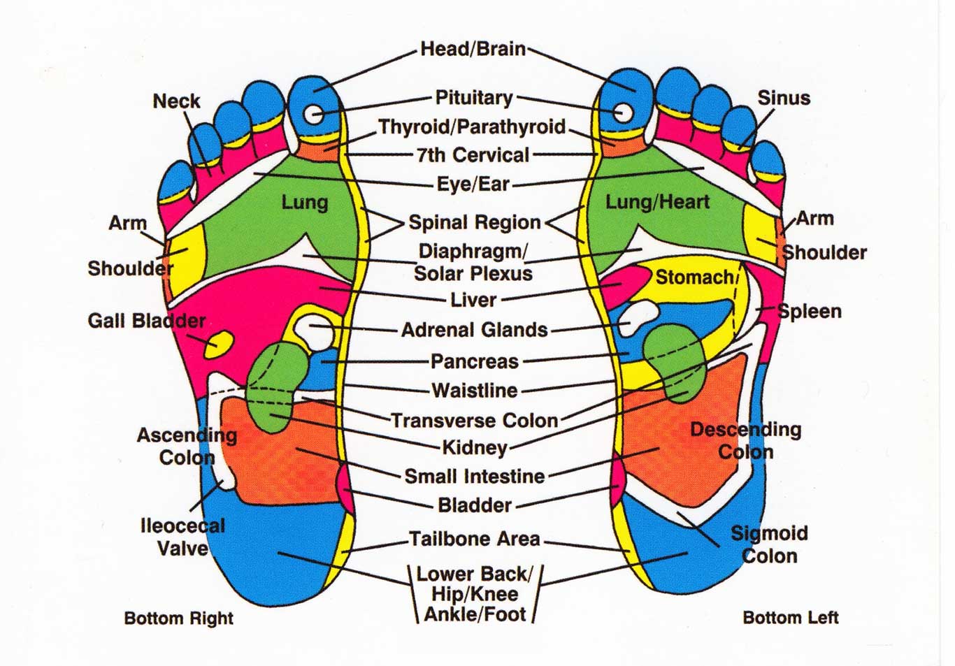 Asian Foot Chart