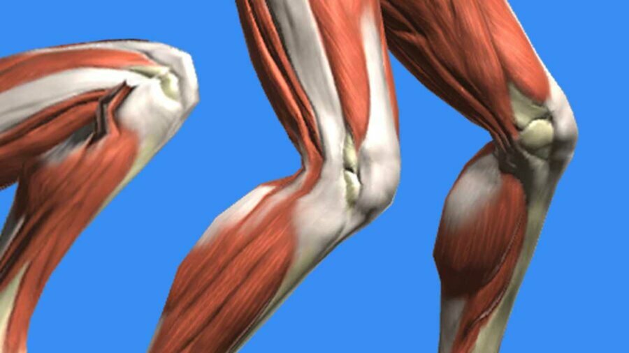 HTC_Aug-2023_knee_IG