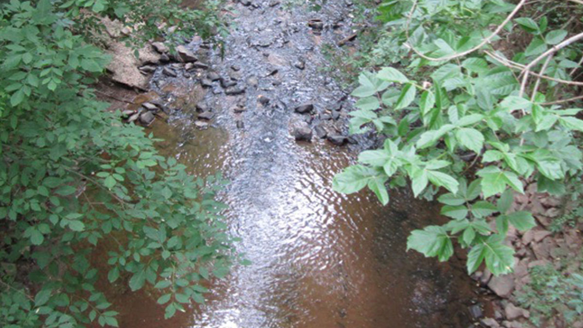 View looking down on a running creek with greenery leaning in from both the left and right sides.