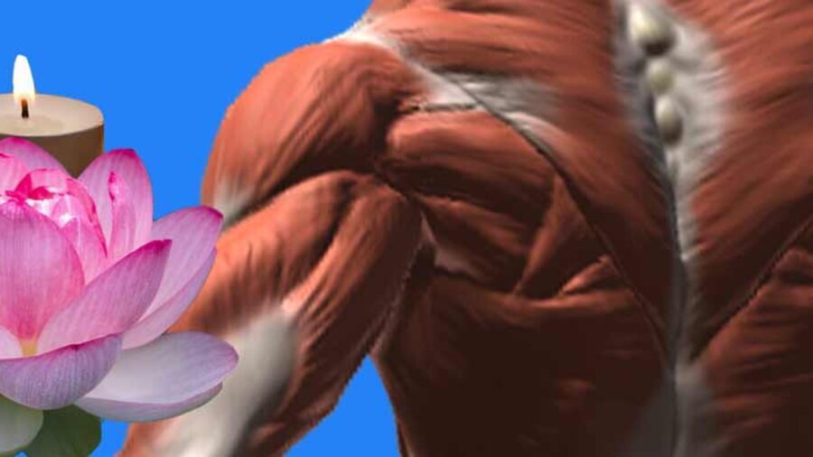 a lotus flower and spa candle juxtaposed with the muscle view of a man's back.